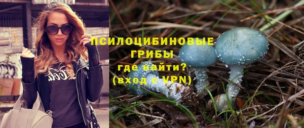 спиды Абинск