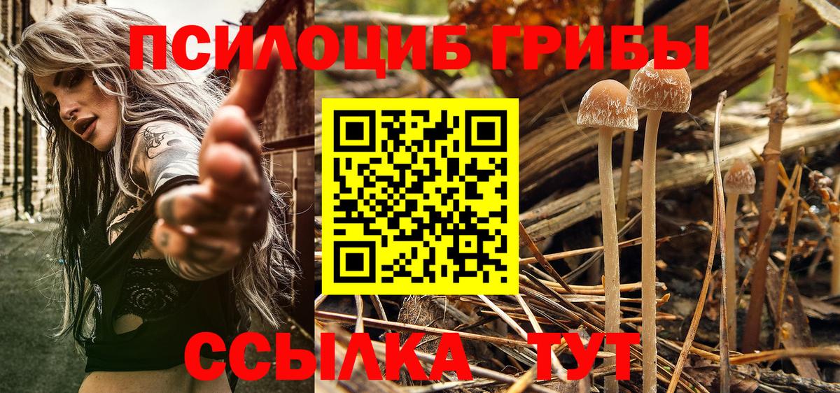 Старая Русса  Псилоцибиновые грибы ЛСД  Вход с VPN 