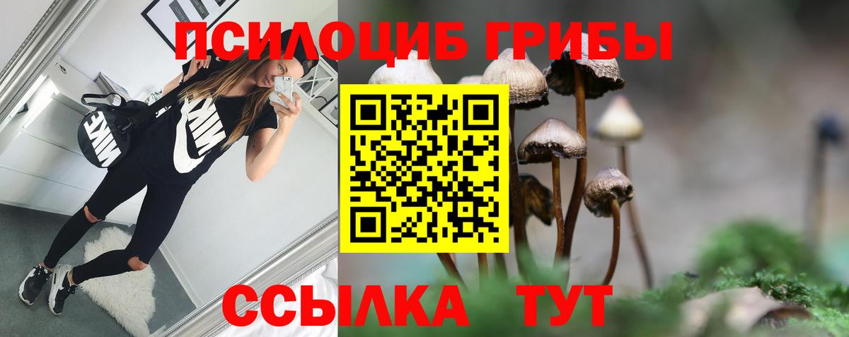 Галлюциногенные грибы мицелий Старая Русса