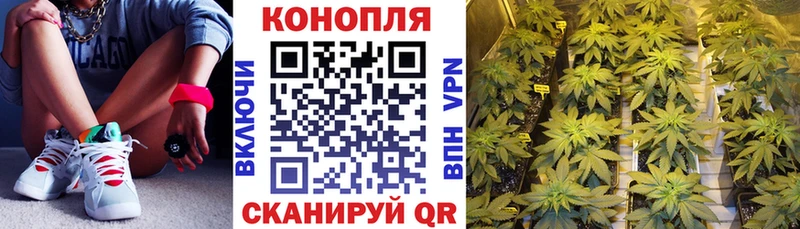 Канабис White Widow  наркошоп  Старая Русса 